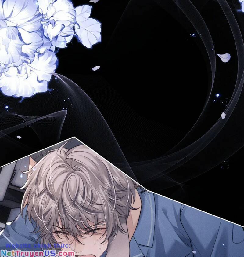 Chấp Sự Thỏ Cụp Tai 81 trang 24