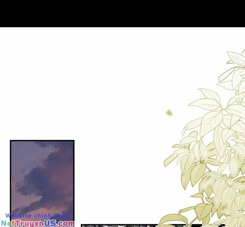 Chấp Sự Thỏ Cụp Tai 81 trang 49