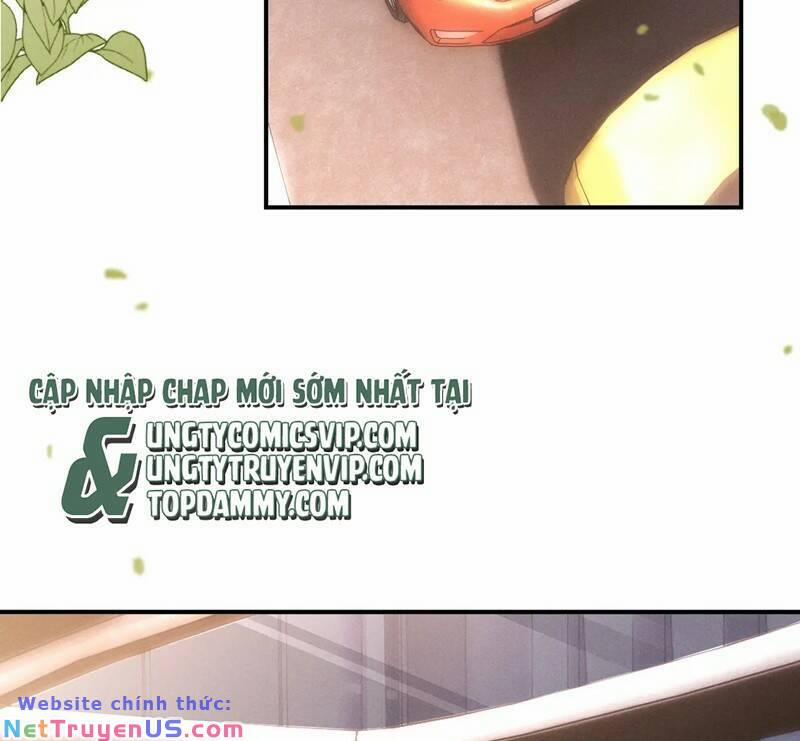 Chấp Sự Thỏ Cụp Tai 81 trang 51