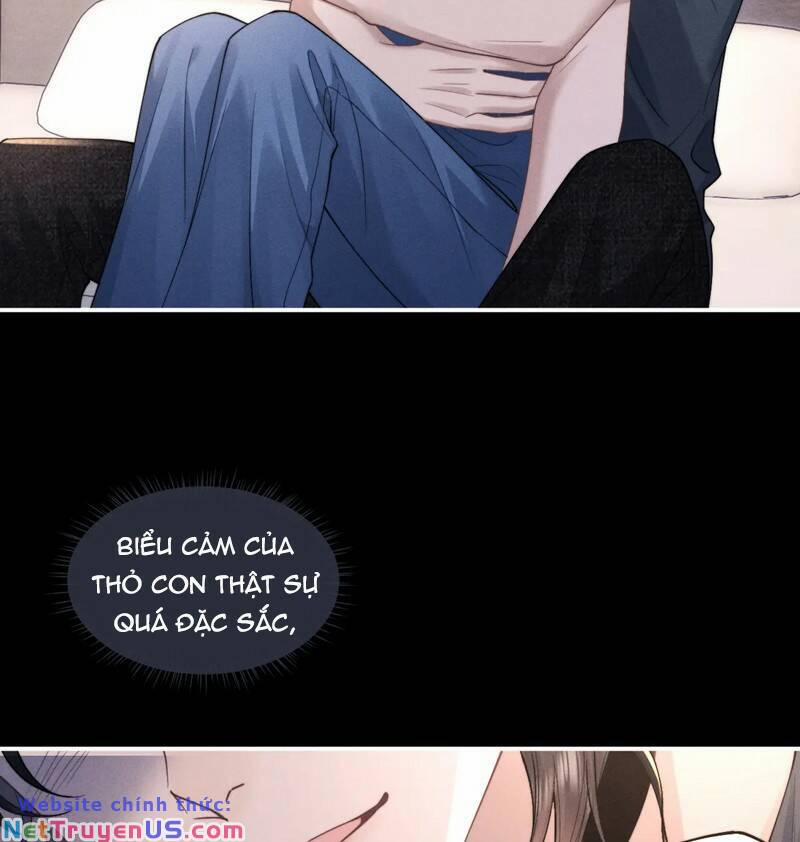 Chấp Sự Thỏ Cụp Tai 81 trang 6