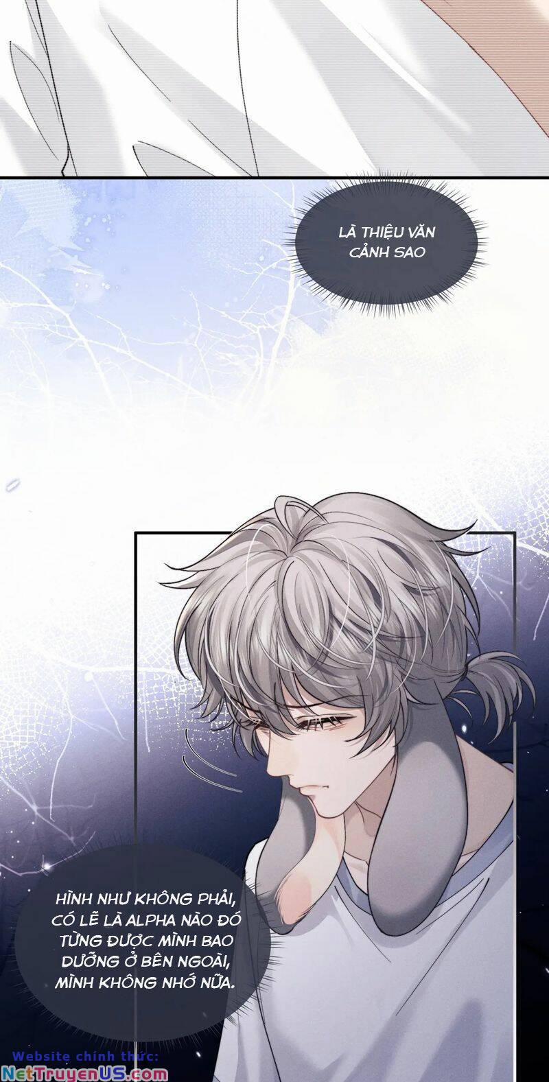 Chấp Sự Thỏ Cụp Tai 82 trang 19