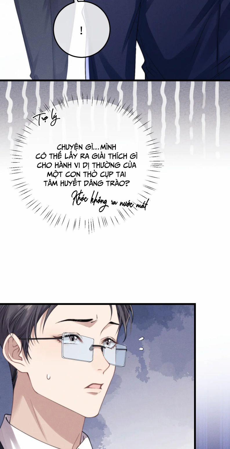 Chấp Sự Thỏ Cụp Tai 9 trang 4