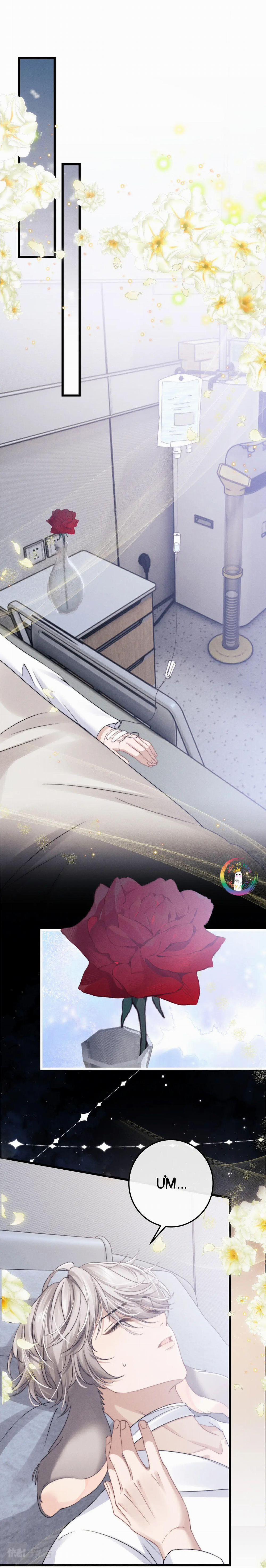 Chấp Sự Thỏ Tai Cụp 10 trang 13