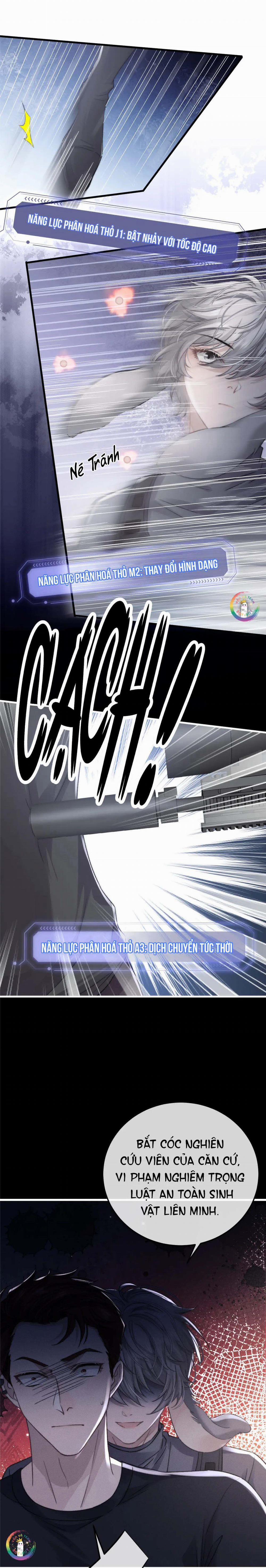 Chấp Sự Thỏ Tai Cụp 10 trang 3