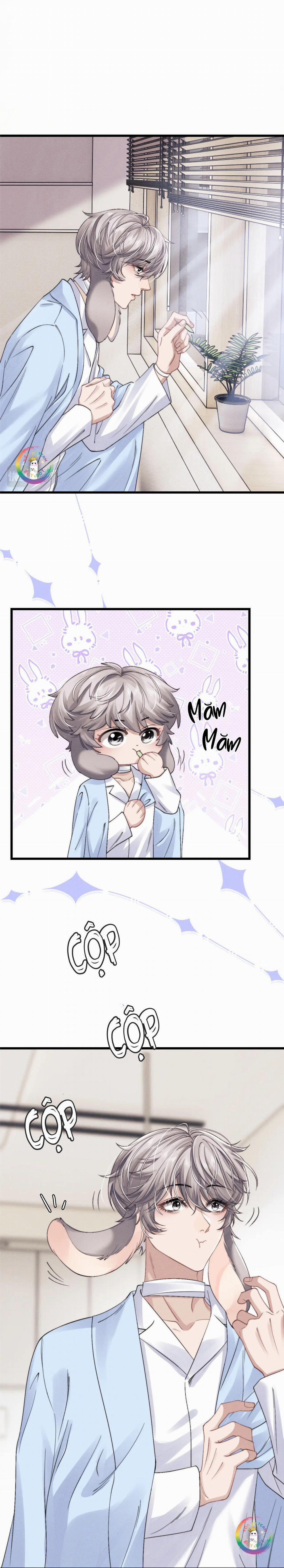 Chấp Sự Thỏ Tai Cụp 11 trang 16