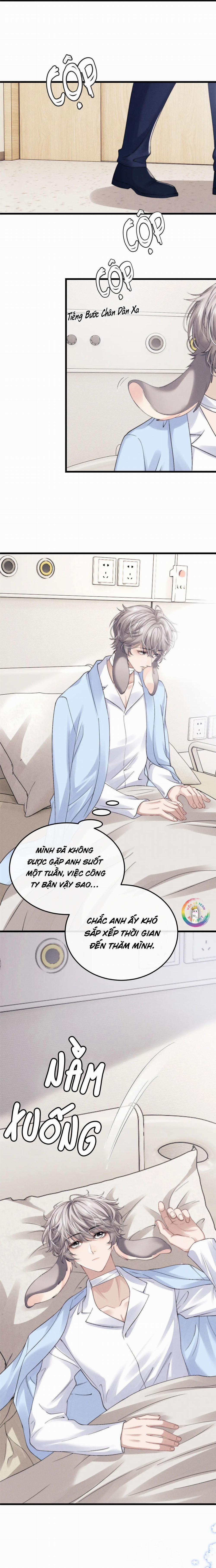 Chấp Sự Thỏ Tai Cụp 11 trang 17