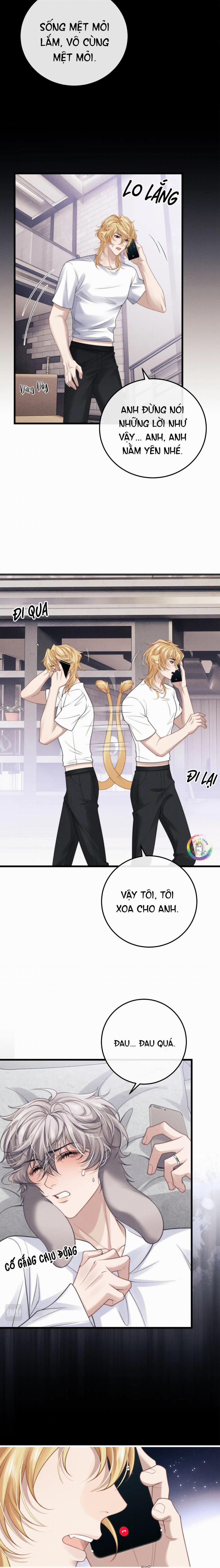 Chấp Sự Thỏ Tai Cụp 13 trang 5