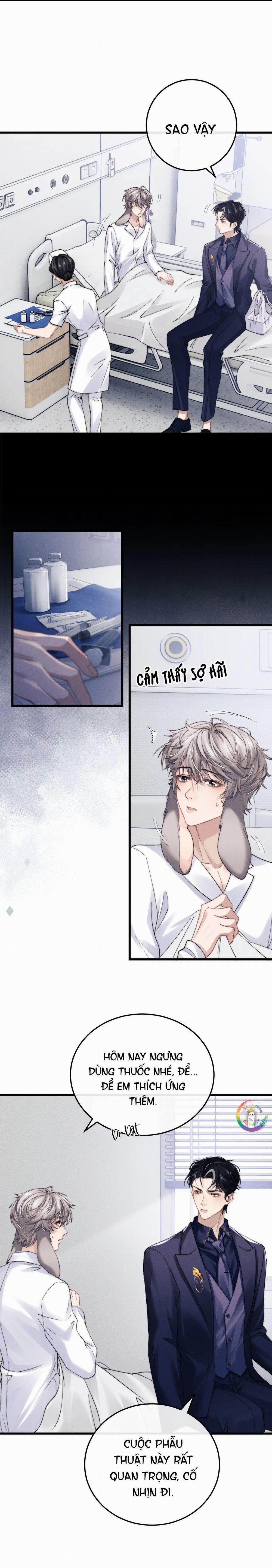 Chấp Sự Thỏ Tai Cụp 13 trang 8