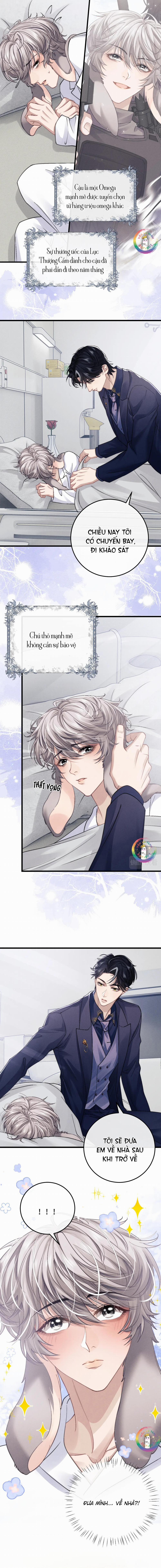 Chấp Sự Thỏ Tai Cụp 14 trang 3