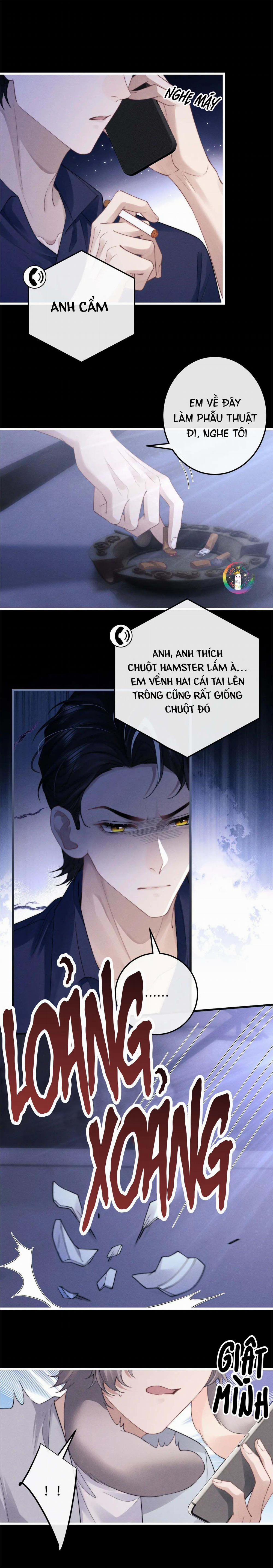 Chấp Sự Thỏ Tai Cụp 21 trang 10