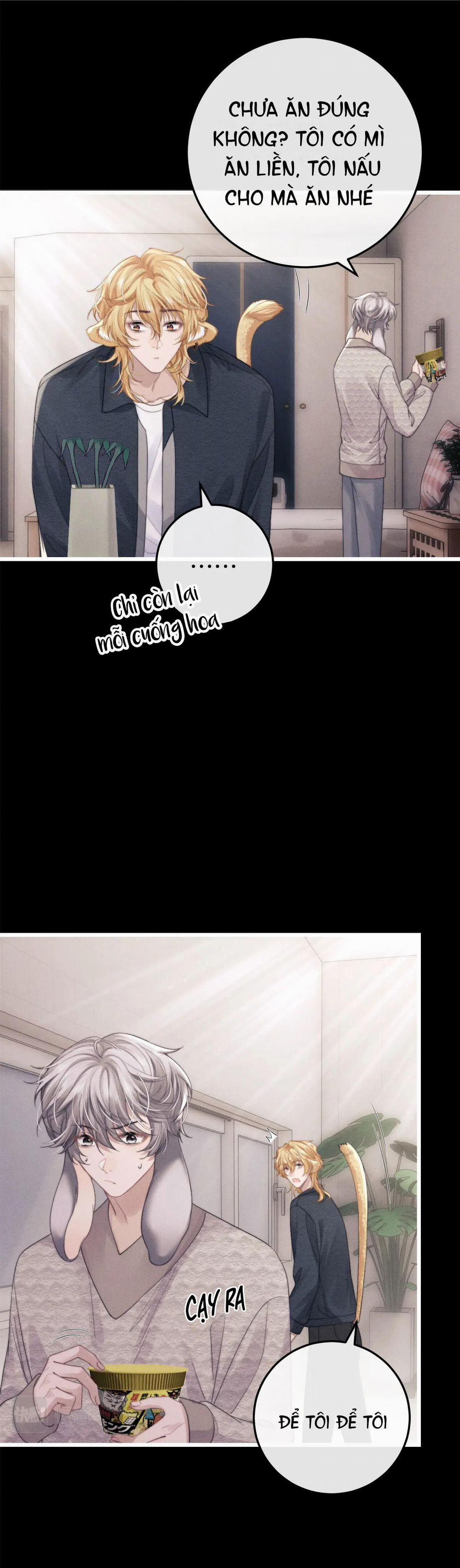 Chấp Sự Thỏ Tai Cụp 23 trang 12