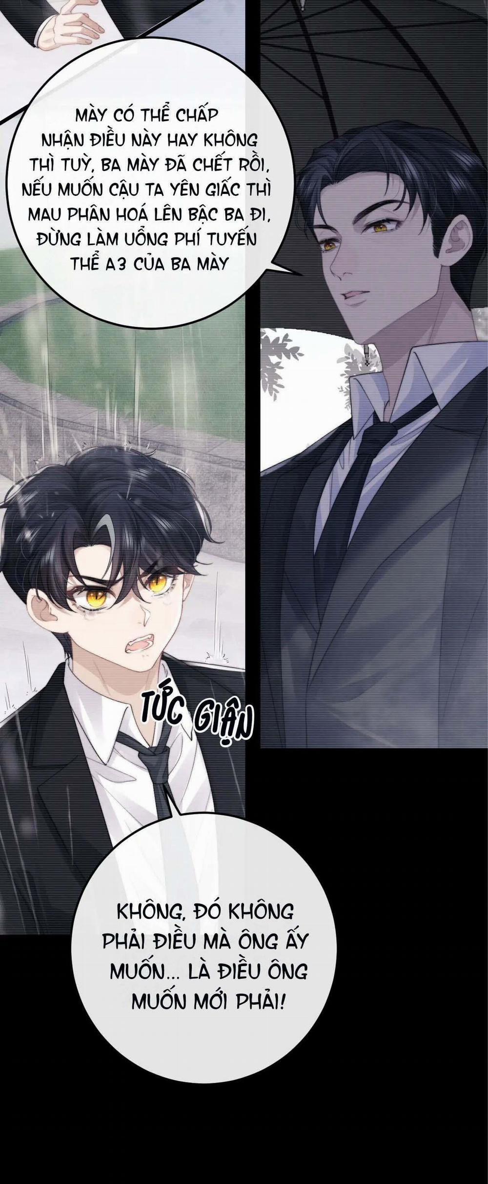 Chấp Sự Thỏ Tai Cụp 24 trang 10