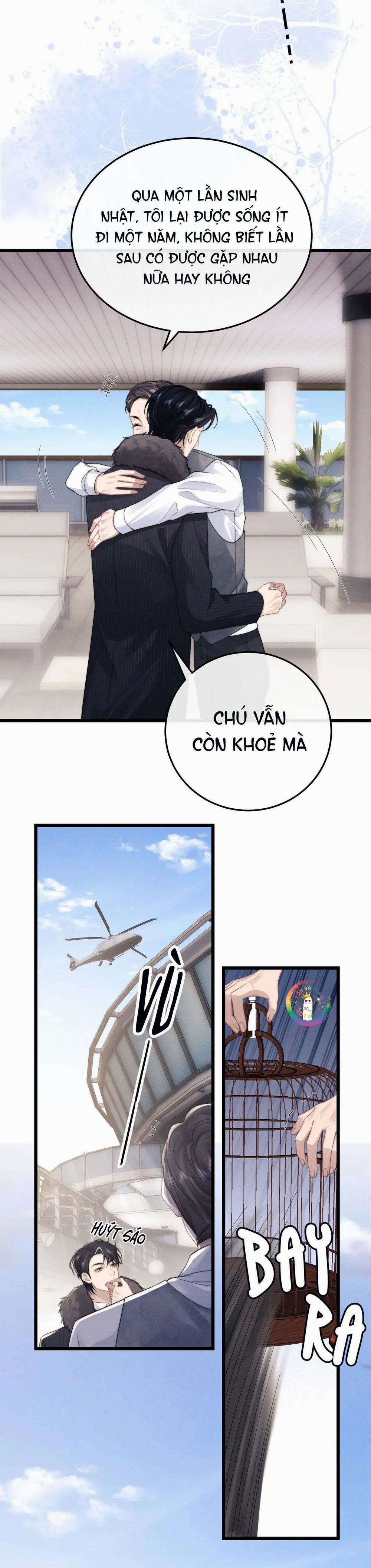 Chấp Sự Thỏ Tai Cụp 24 trang 5