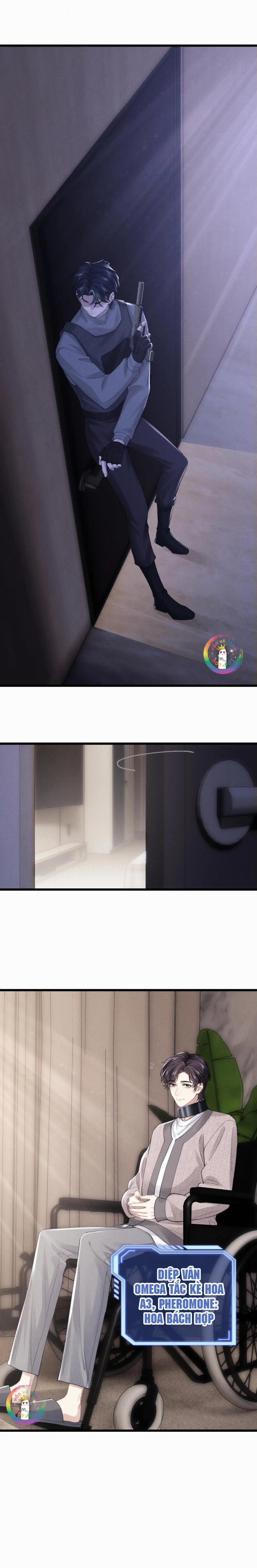 Chấp Sự Thỏ Tai Cụp 30 trang 8