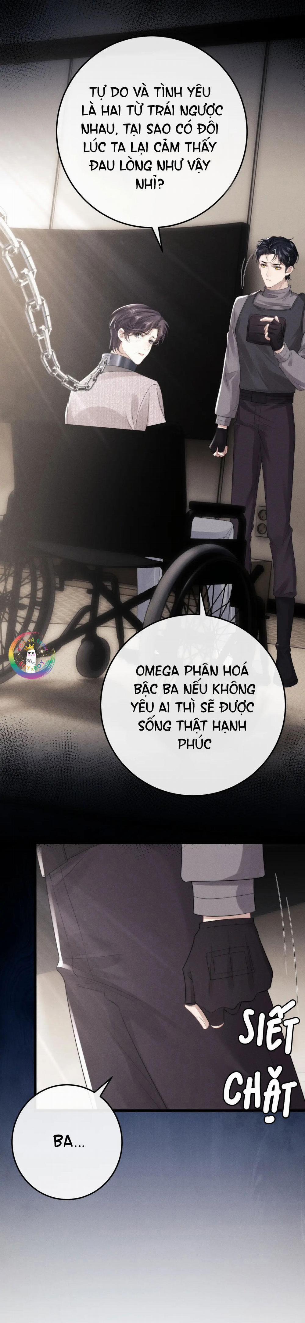 Chấp Sự Thỏ Tai Cụp 31 trang 6