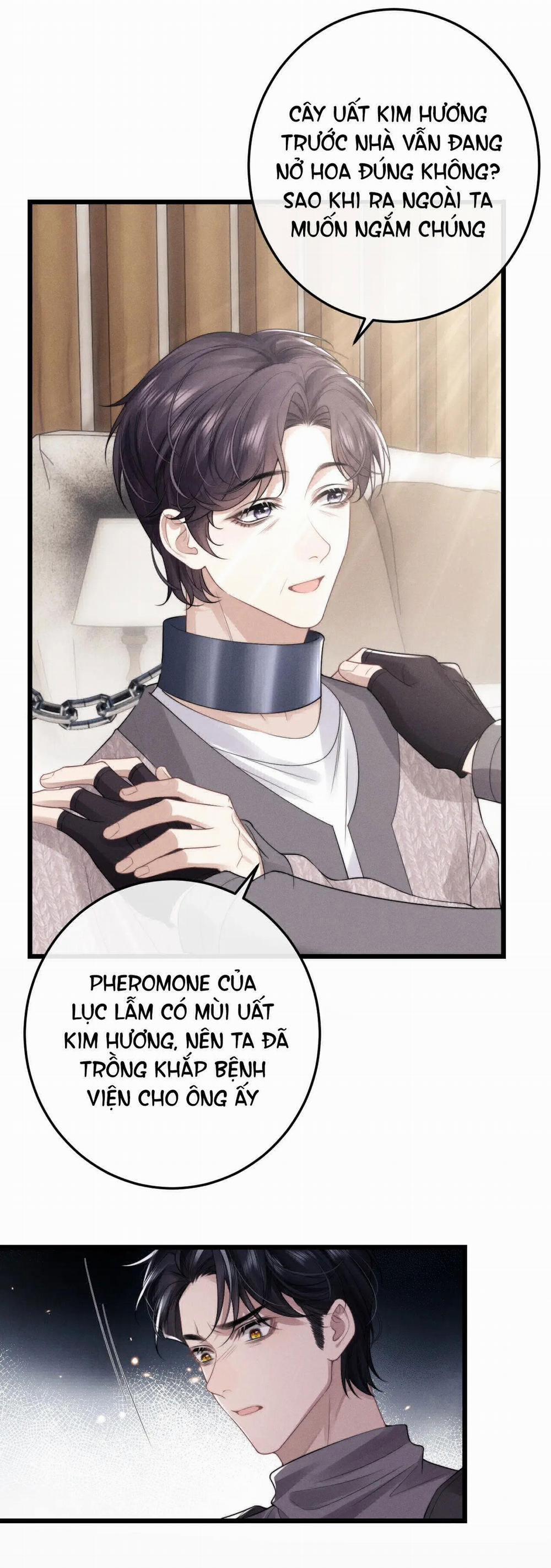 Chấp Sự Thỏ Tai Cụp 31 trang 8