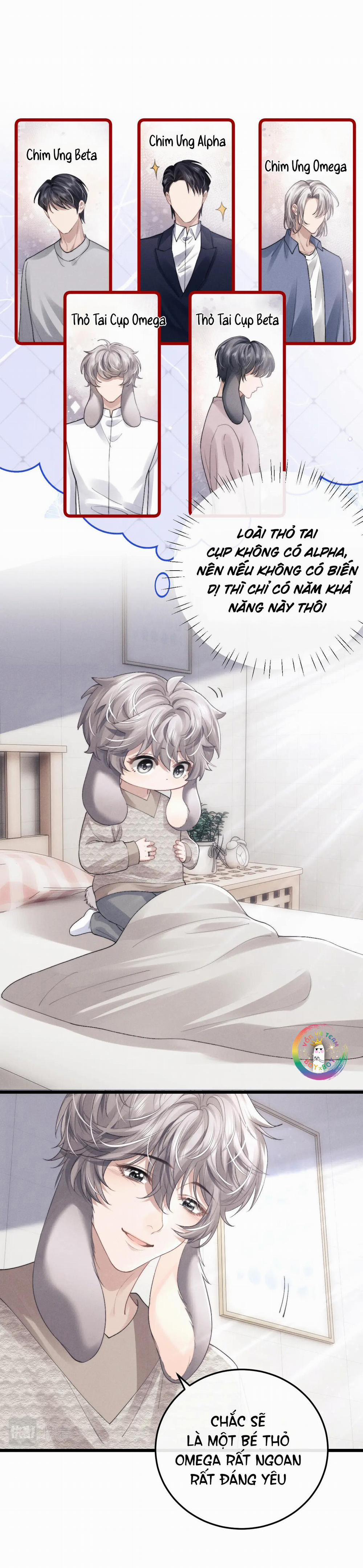Chấp Sự Thỏ Tai Cụp 33 trang 13