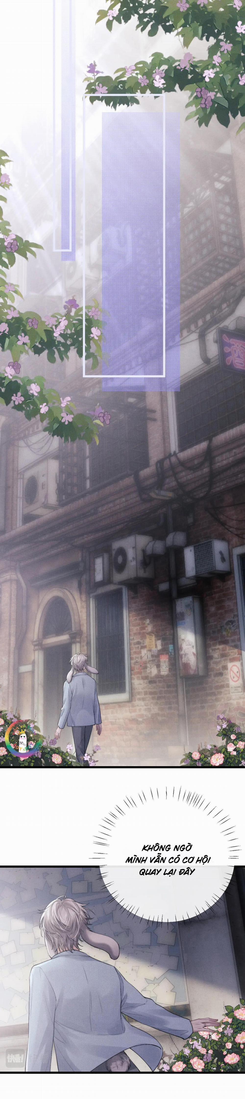 Chấp Sự Thỏ Tai Cụp 35 trang 6