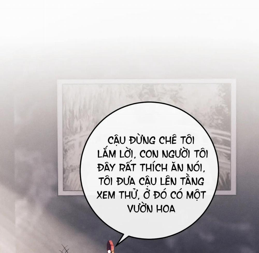 Chấp Sự Thỏ Tai Cụp 36 trang 21