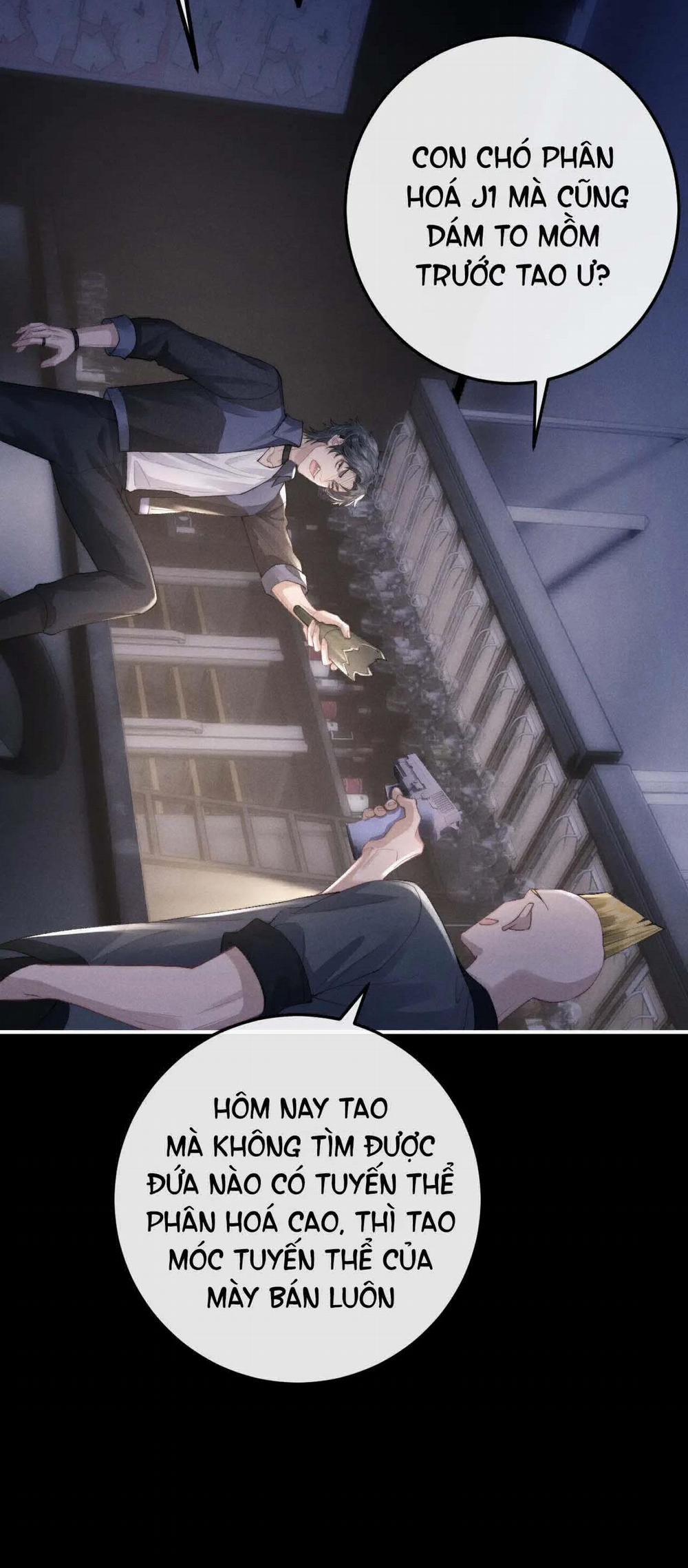 Chấp Sự Thỏ Tai Cụp 37 trang 11