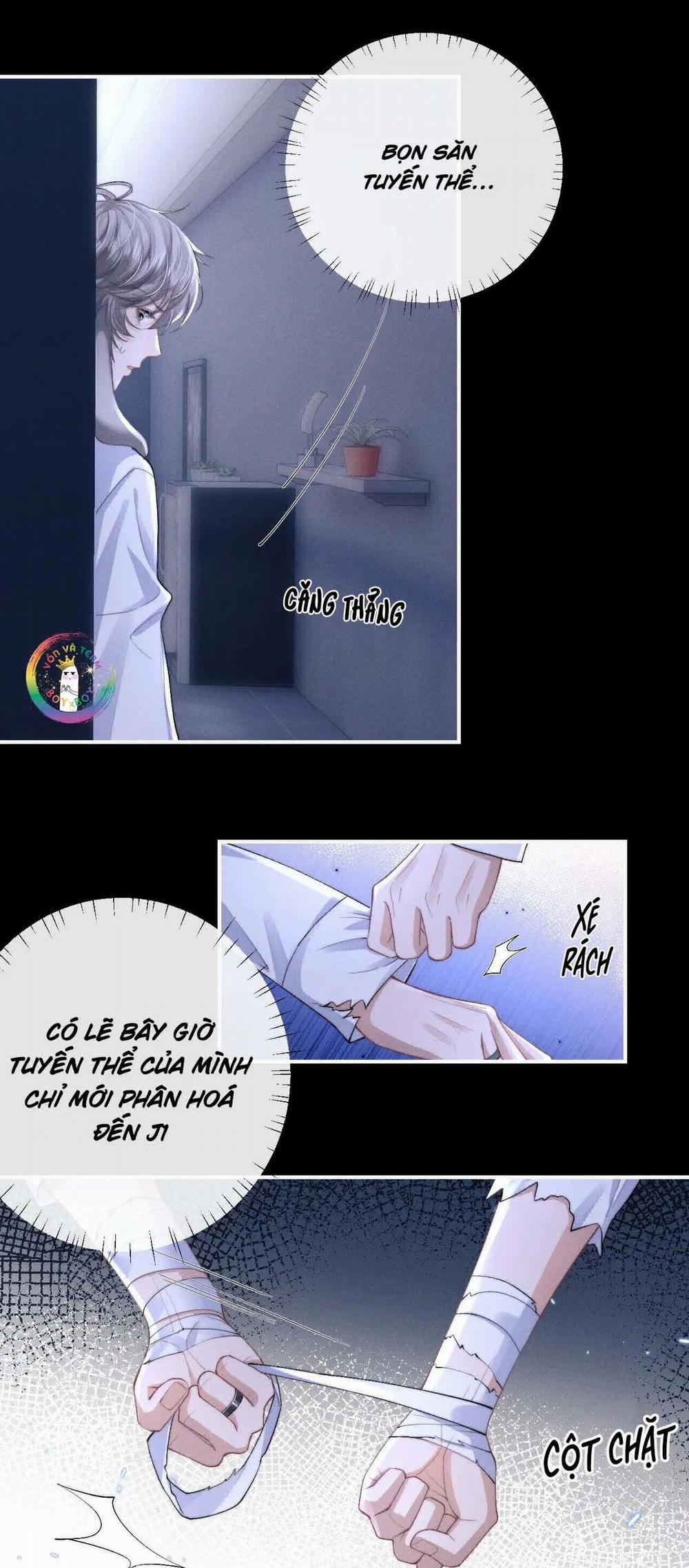 Chấp Sự Thỏ Tai Cụp 37 trang 12