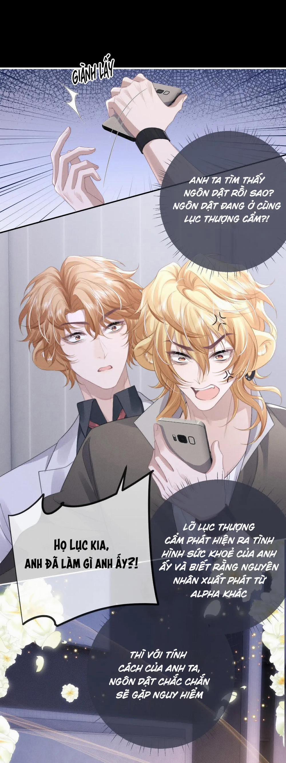 Chấp Sự Thỏ Tai Cụp 38 trang 16