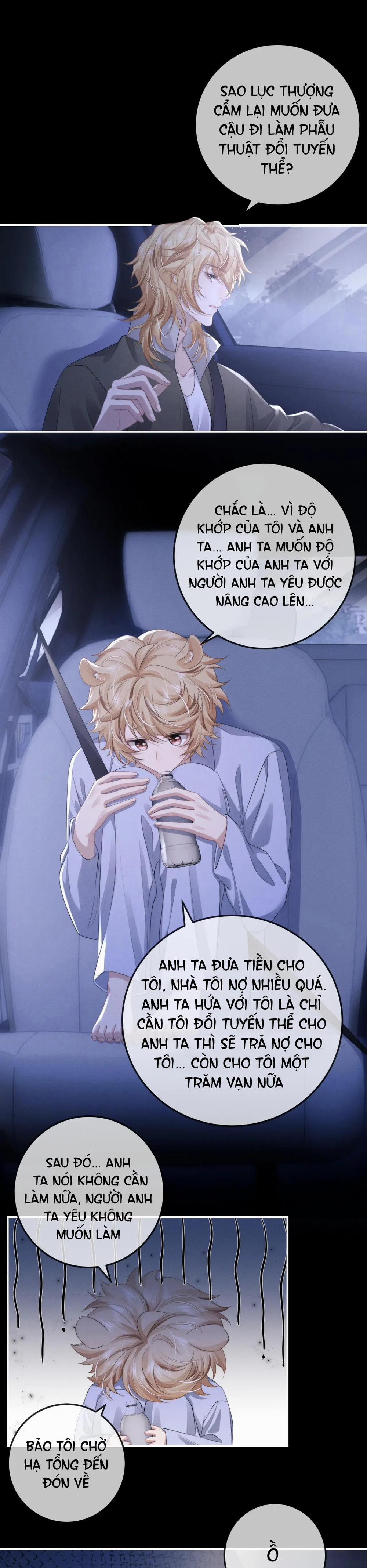 Chấp Sự Thỏ Tai Cụp 38 trang 7