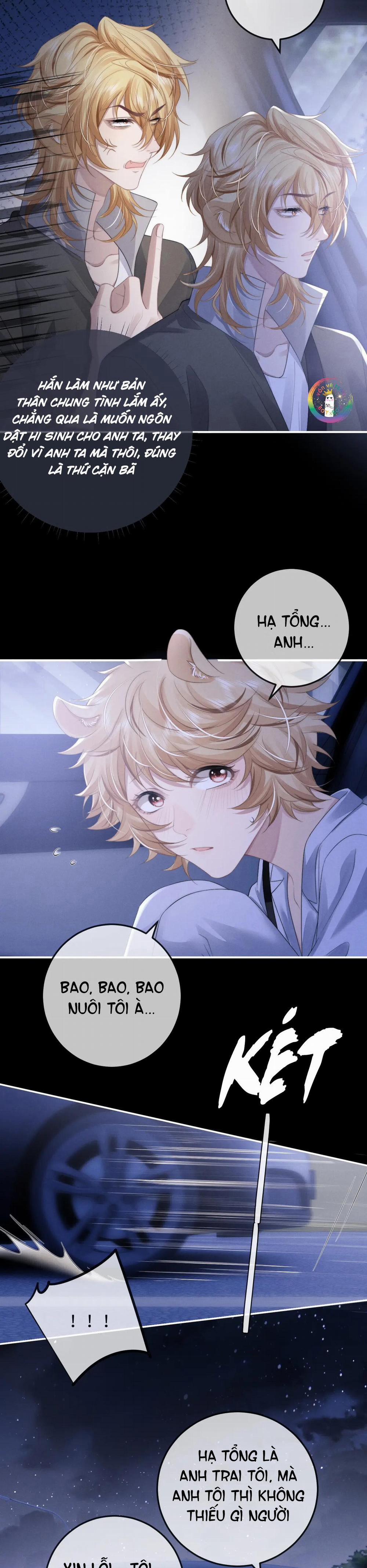 Chấp Sự Thỏ Tai Cụp 38 trang 8