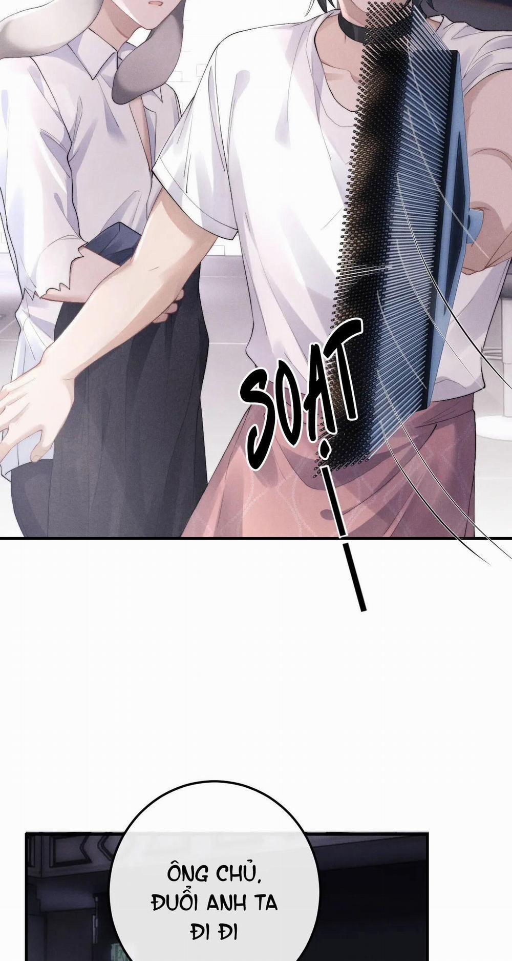 Chấp Sự Thỏ Tai Cụp 40 trang 14