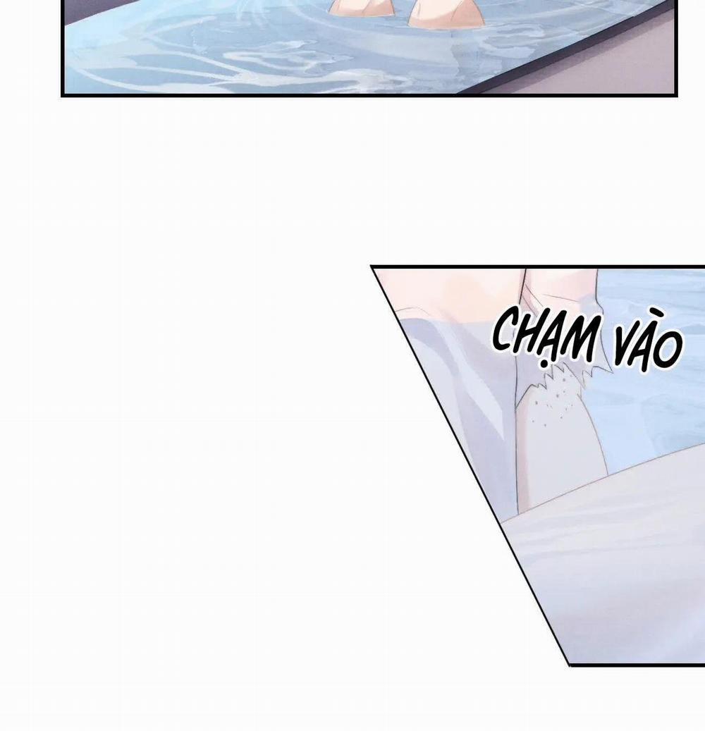 Chấp Sự Thỏ Tai Cụp 41 trang 6