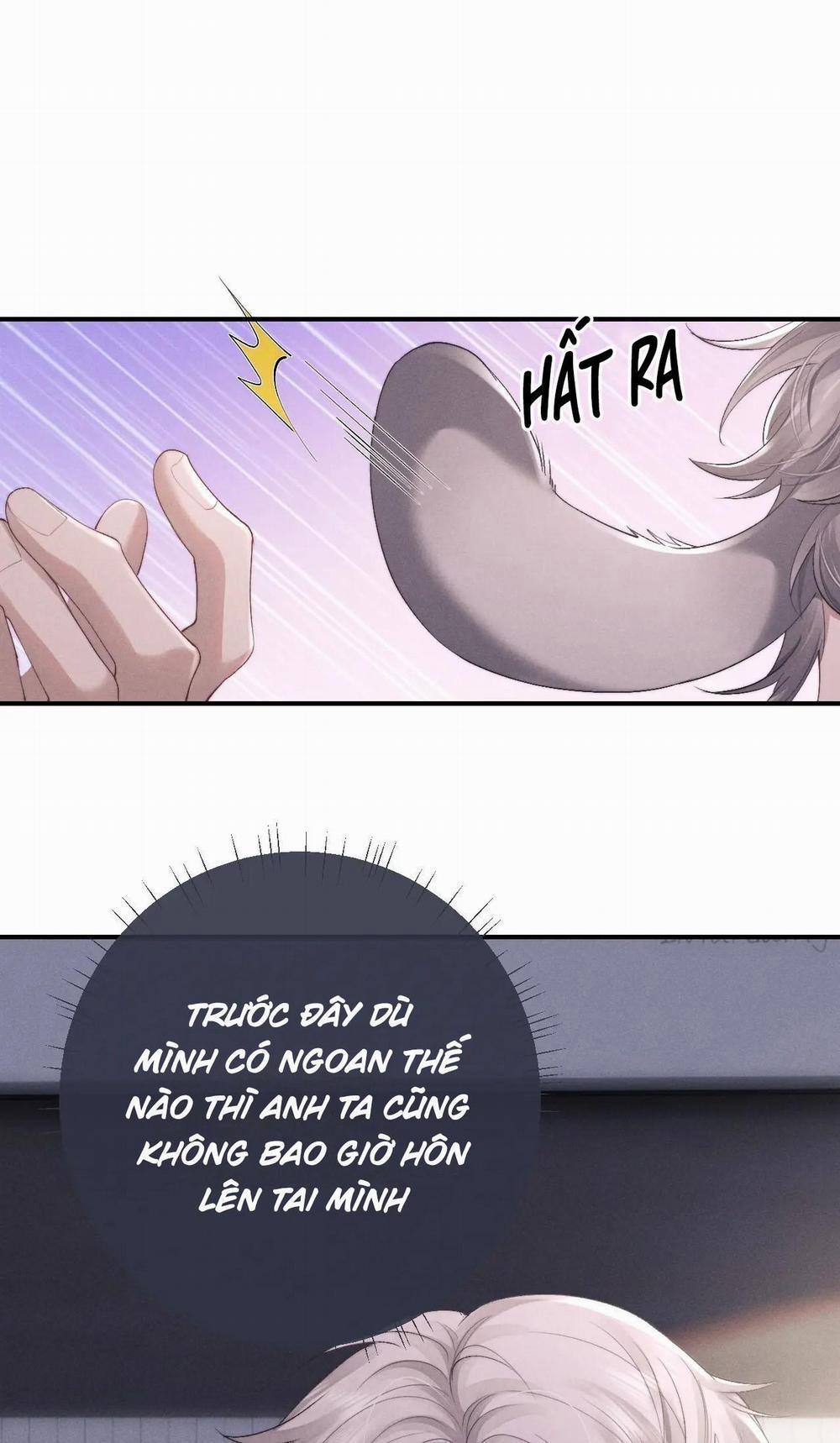 Chấp Sự Thỏ Tai Cụp 42 trang 1