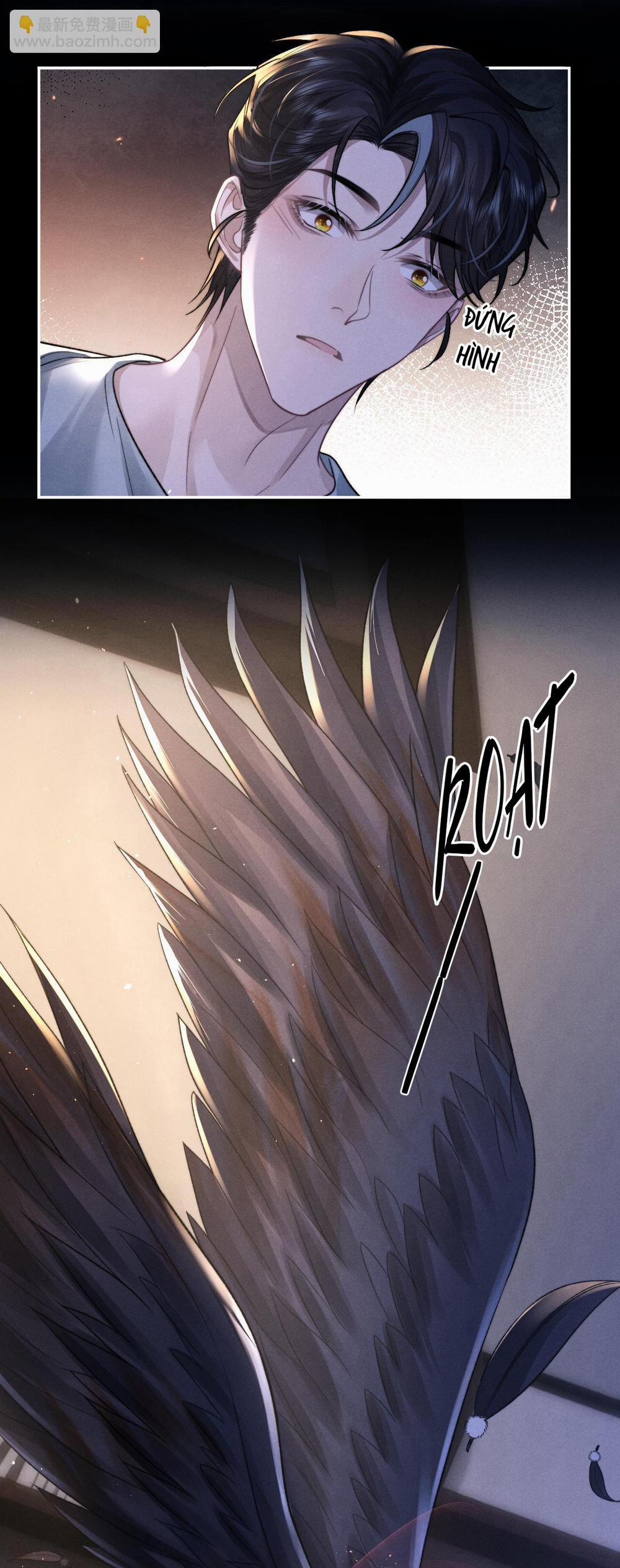 Chấp Sự Thỏ Tai Cụp 53.1 trang 8