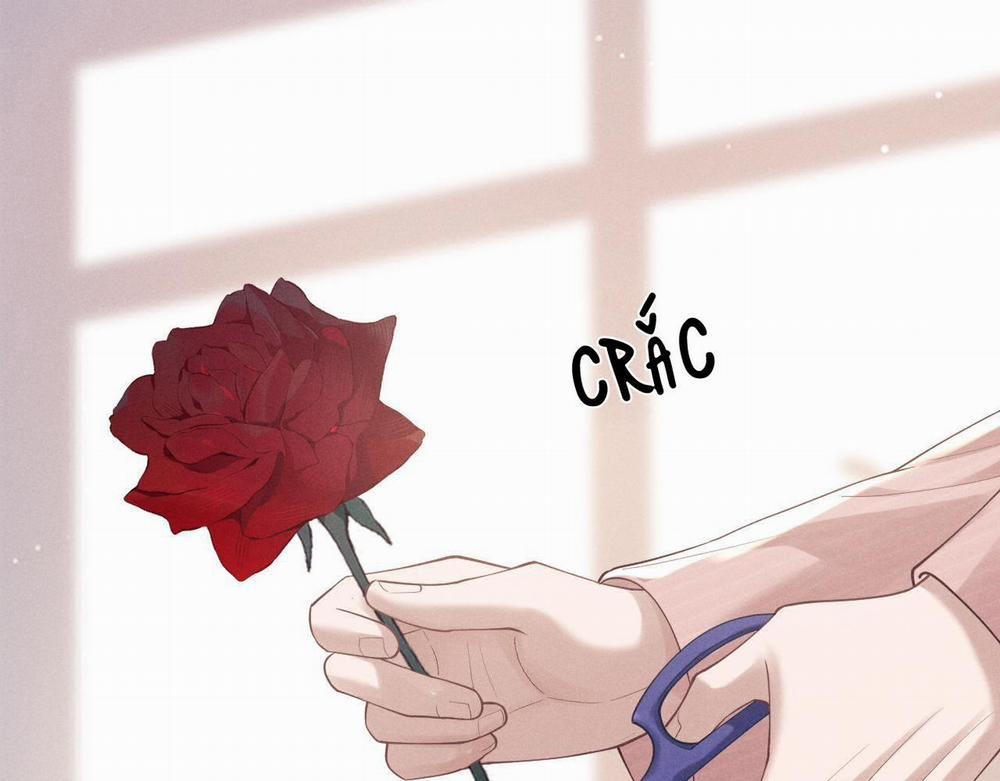 Chấp Sự Thỏ Tai Cụp 68 trang 2