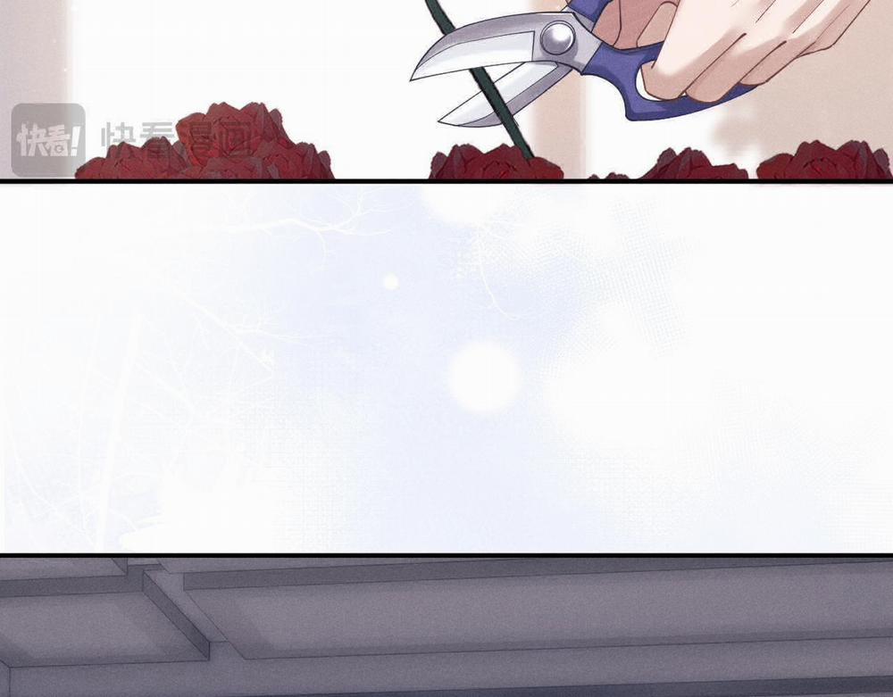 Chấp Sự Thỏ Tai Cụp 68 trang 3