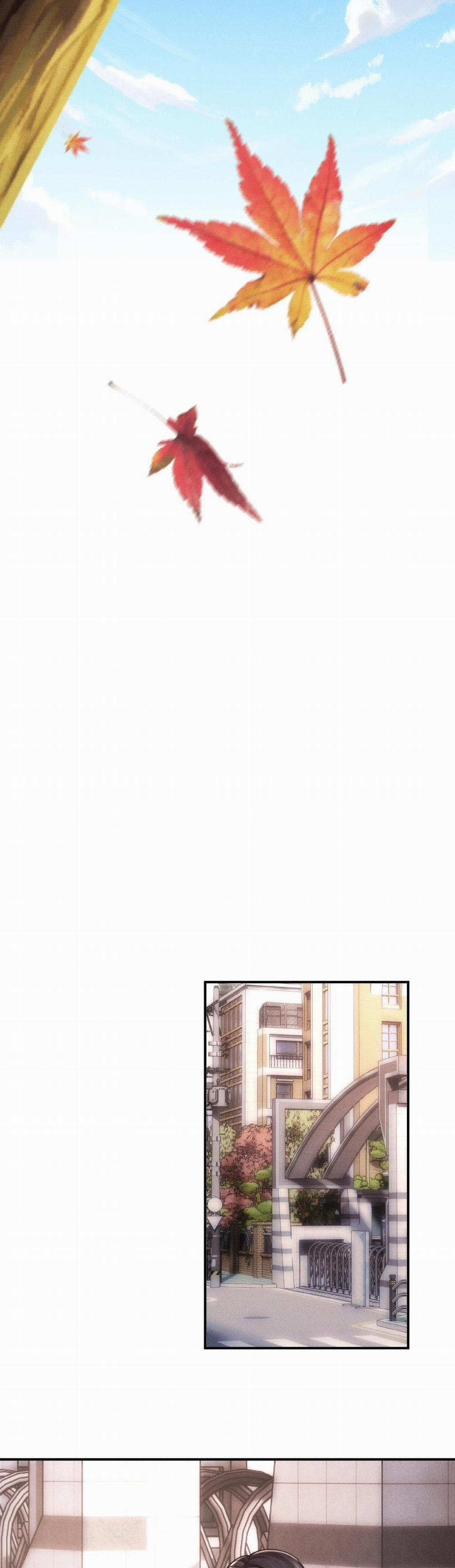 Chấp Sự Thỏ Tai Cụp 82 trang 4