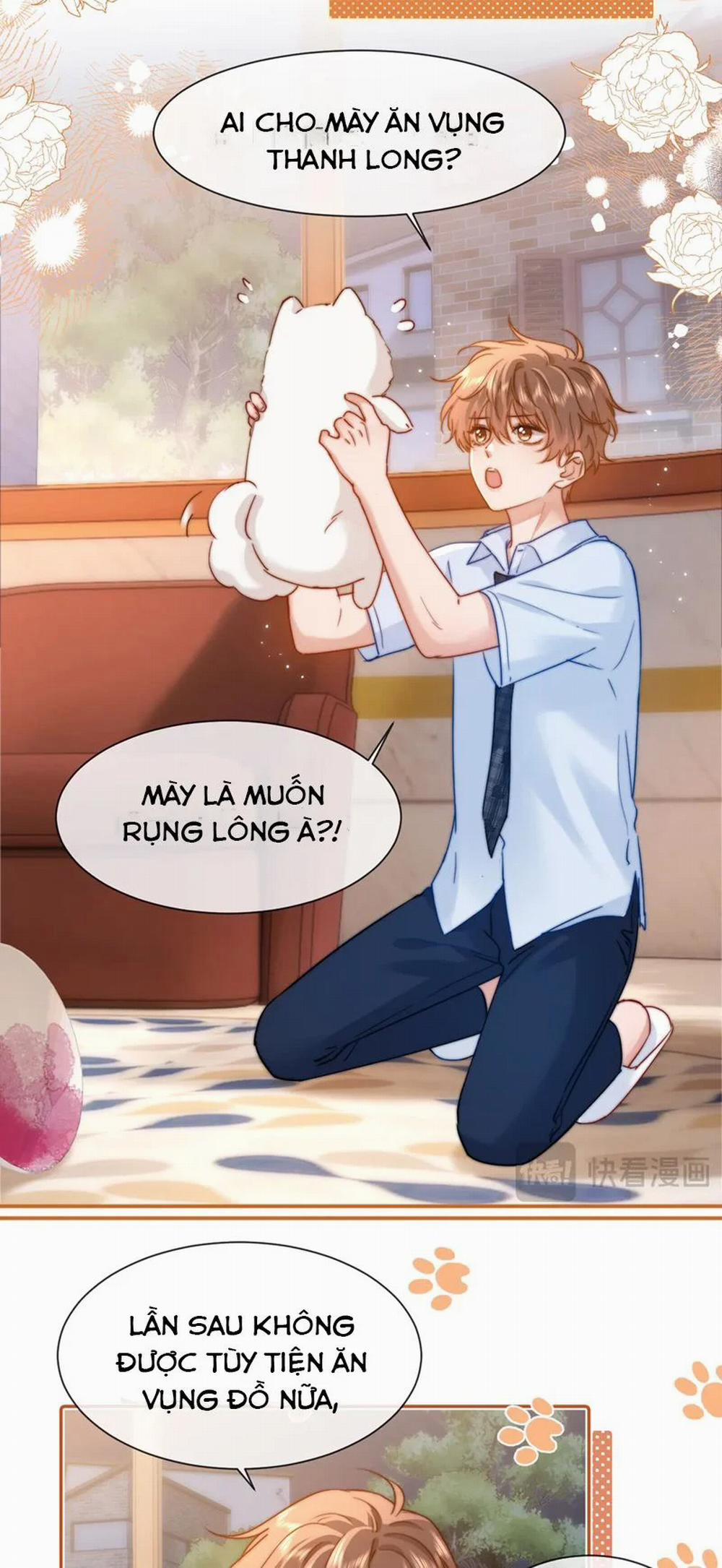 Chất Dị Ứng Đáng Yêu 13 trang 5