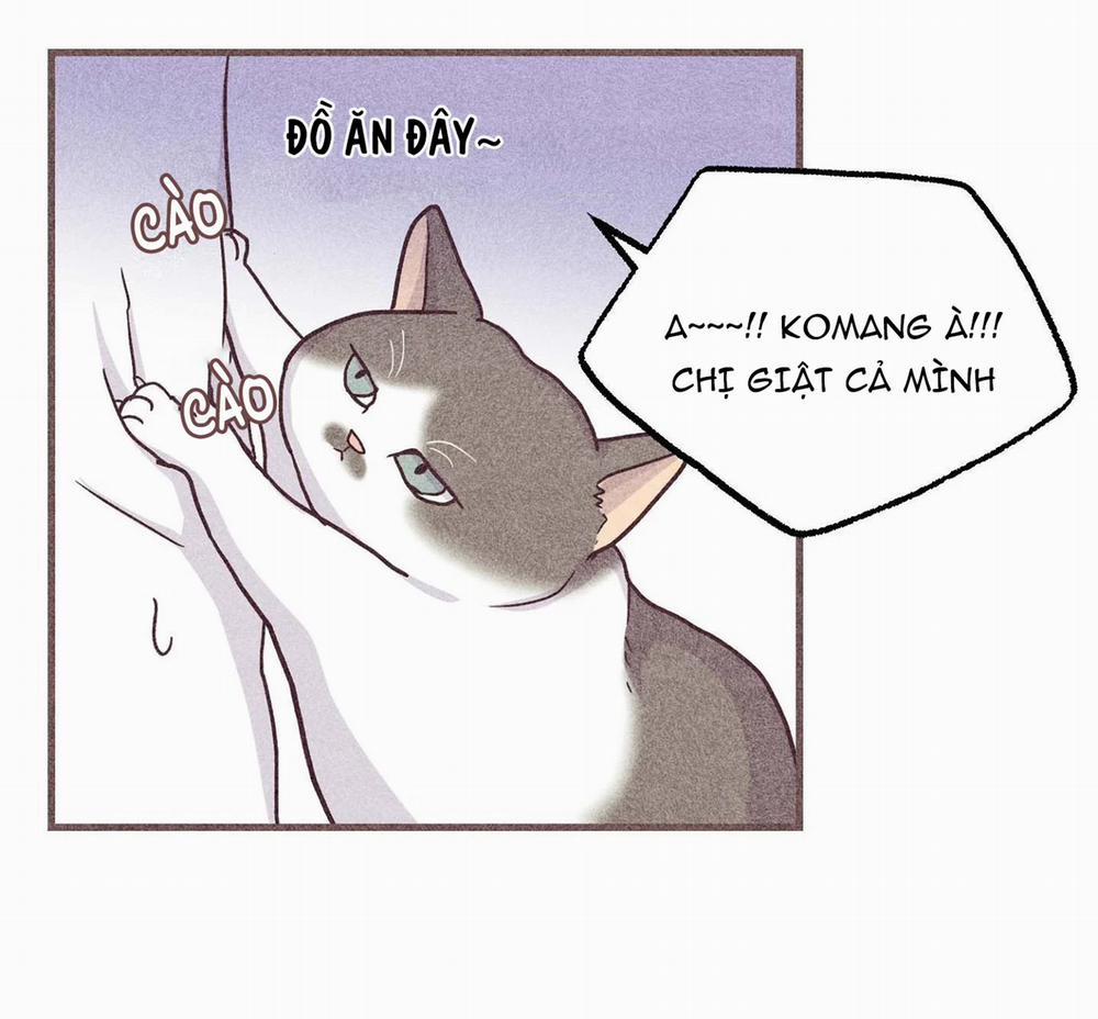 Chạy Đâu Cho Thoát 34 trang 42