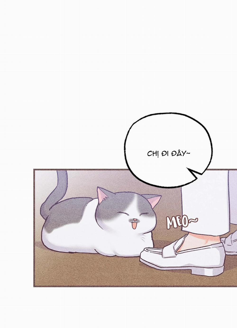 Chạy Đâu Cho Thoát 34 trang 44