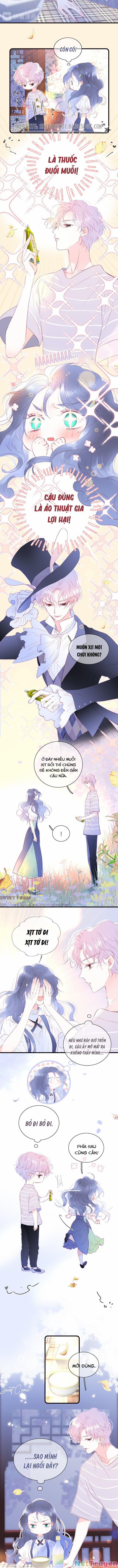 Chạy Trốn Cùng Con Nhím 10 trang 1