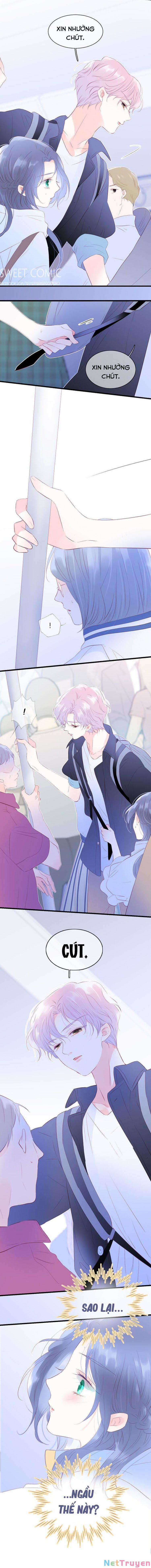 Chạy Trốn Cùng Con Nhím 12 trang 11