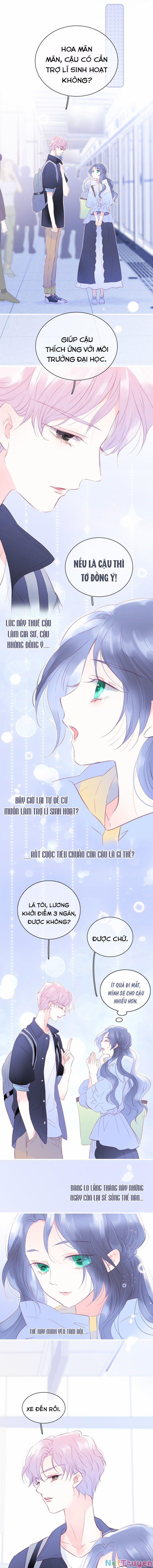 Chạy Trốn Cùng Con Nhím 12 trang 5