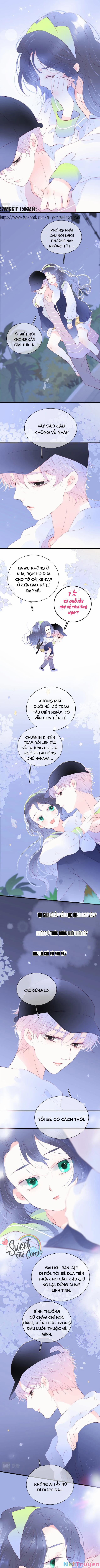 Chạy Trốn Cùng Con Nhím 28 trang 4