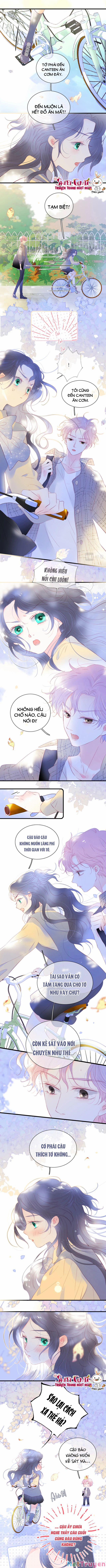 Chạy Trốn Cùng Con Nhím 31 trang 2