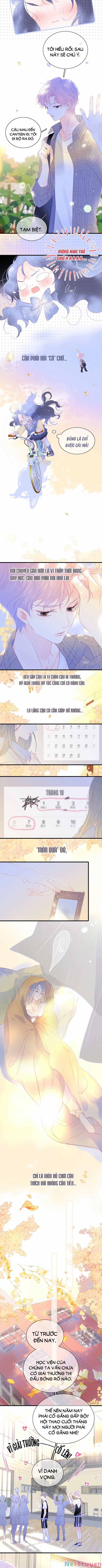 Chạy Trốn Cùng Con Nhím 31 trang 3