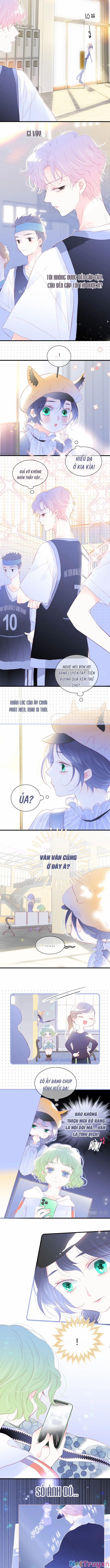 Chạy Trốn Cùng Con Nhím 31 trang 4