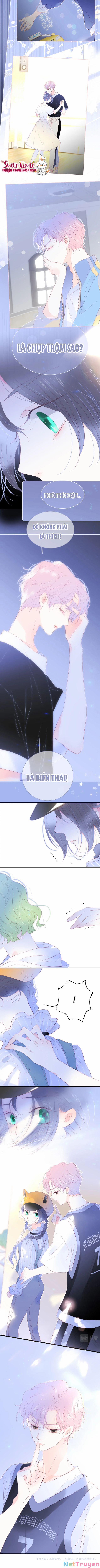 Chạy Trốn Cùng Con Nhím 31 trang 5