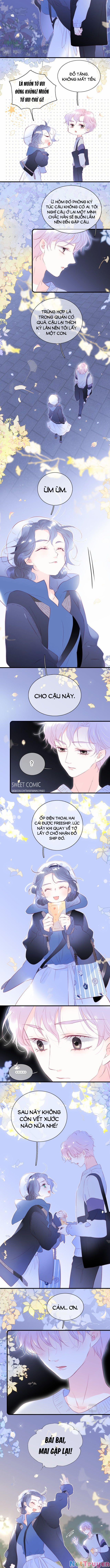 Chạy Trốn Cùng Con Nhím 42 trang 4