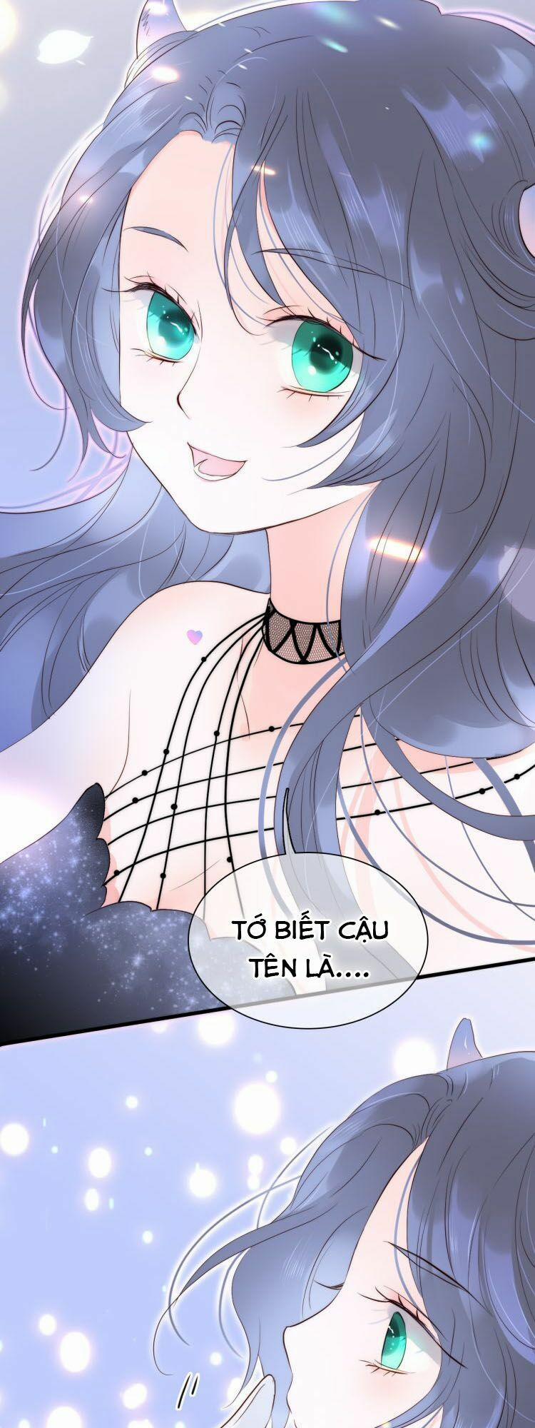 Chạy Trốn Cùng Con Nhím 5 trang 19