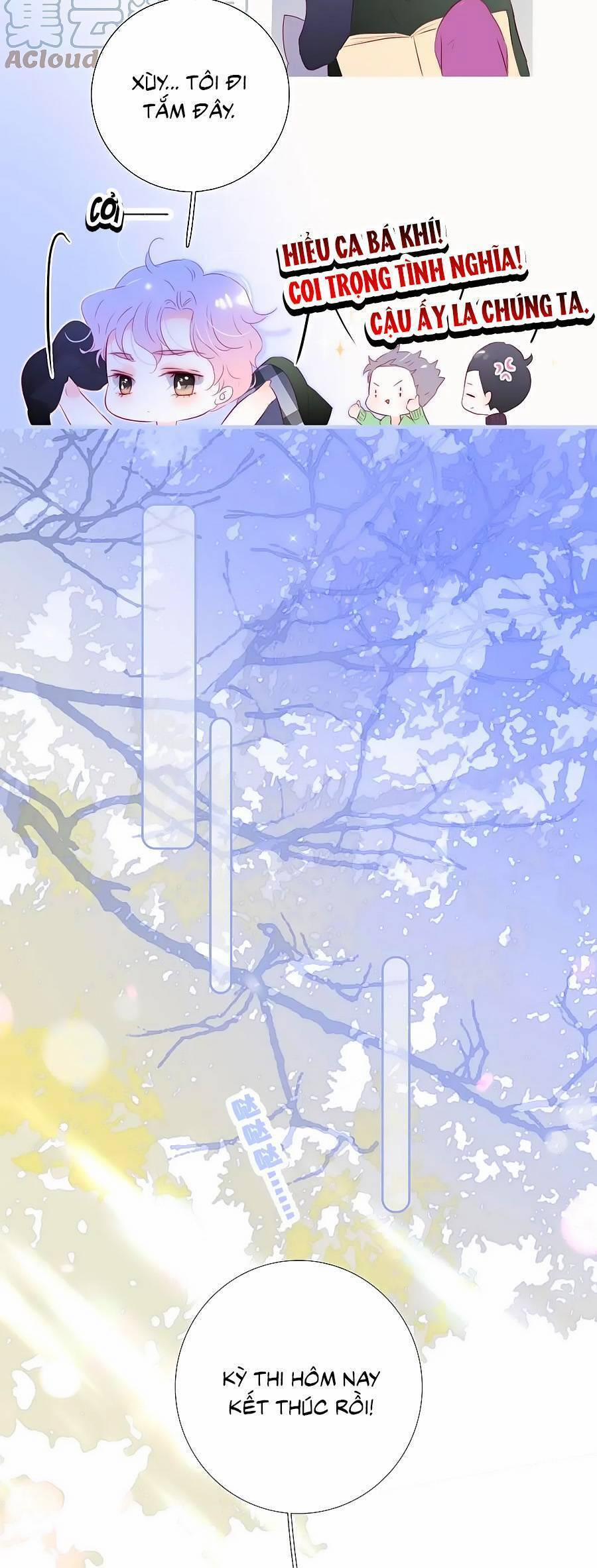 Chạy Trốn Cùng Con Nhím 87 trang 15