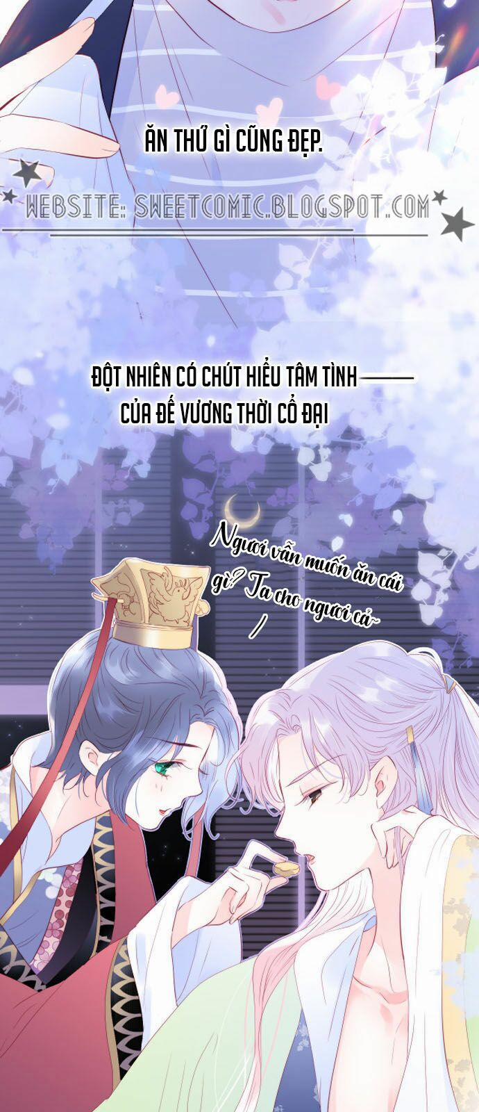 Chạy Trốn Cùng Con Nhím 9 trang 8